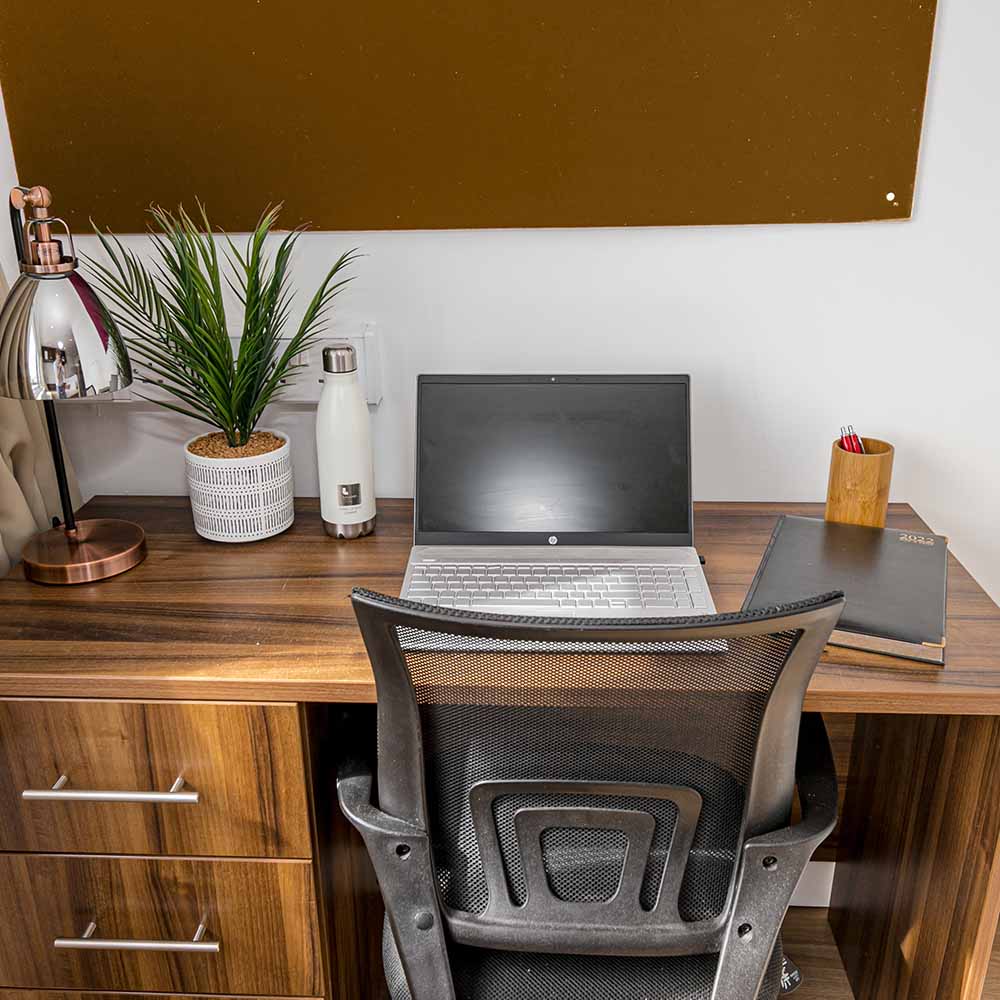 desk area with plant lamp and chair